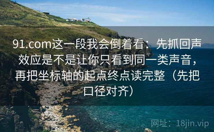 91.com这一段我会倒着看：先抓回声效应是不是让你只看到同一类声音，再把坐标轴的起点终点读完整（先把口径对齐）